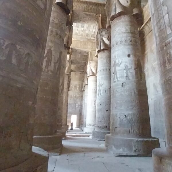 Dendera and Abydos Temple